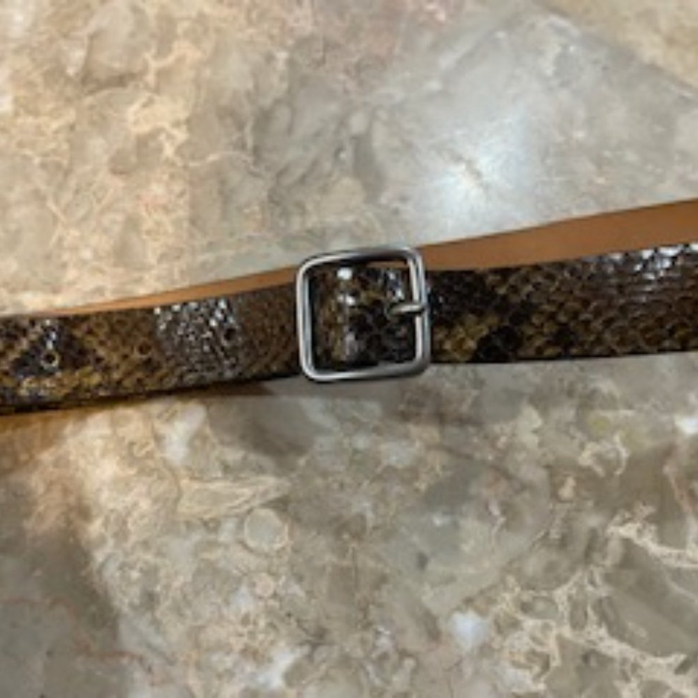 Gap Women's Brown Snakeskin Belt Genuine Leather, Silver Metal Buckle, Sz Large